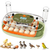 Sindarhor egg incubator 24-egg tray with digital display for precise temperature control.