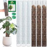Sisher Monstera moss pole 16-inch stackable support for climbing plants