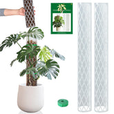 Sisher 16-inch D-shaped moss pole for climbing plants, sturdy support.