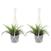 Sliverdew macrame plant hanger with cotton rope for indoor decor