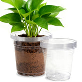 SLMKHHU clear 8-inch nursery pot showing transparent walls for root checks and moisture cues.