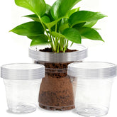 SLMKHHU 7-inch clear nursery pot showing root visibility for monitoring seedlings