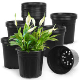 SLMKHHU 50-pack 2 gallon nursery pots for seedling growth and easy transplanting.