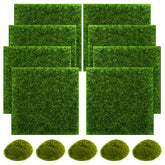 Snail Garden fairy grass patch, 6x6 inch, ideal for quick DIY landscapes.