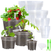 Softum clear 10-inch nursery pot with drainage supports healthy root growth for vegetables.