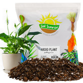 Soil Sunrise aroid soil mix in bag supports healthy root development