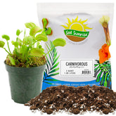 Soil Sunrise carnivorous potting soil 2qt bag for Venus Fly Traps and other carnivorous plants