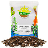 Soil Sunrise Lucky Bamboo potting mix 4qt bag front for container gardening versatility.