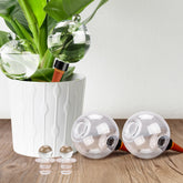 Soilagua 19 oz globe with top-fill cap for easy plant watering