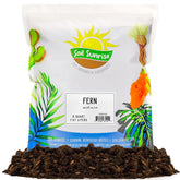 Soil Sunrise fern potting soil mix supports healthy ferns with balanced drainage and moisture.