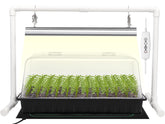 SOLIGT 1020 seed starter tray with 6x12 cells for organized germination