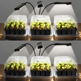 SOLIGT 144-cell seed starter tray front view for efficient indoor seed germination.