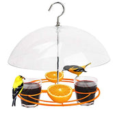 Solution4Patio Baltimore Oriole Feeder with orange-halves cups attracts orioles to your yard.