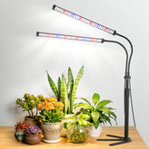 Sonamindary grow light unit delivering strong indoor light for healthy plants