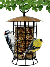 Songbird Essentials copper roof suet log feeder front view with easy bird access