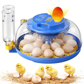 SORSWEET 18-egg incubator with 360° view for easy monitoring.