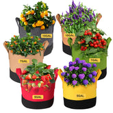 SouilGoal 5gal colorful grow bag shows vibrant design suitable for peppers and herbs.