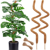 Soupiar 60-inch bendable moss pole supports Monstera vines with a sturdy aluminum core.