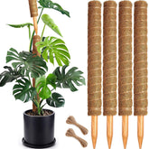 Soupiar moss pole 22-inch assembled provides sturdy support for climbing plants.