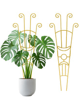 Sousac 33-inch tall expandable trellis in gold supports potted plants and guides vertical growth.