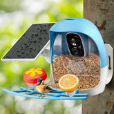 Sovmiku FCG6 bird feeder camera view captures birds in sharp detail for backyard birdwatching