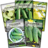 Sow Right Seeds Armenian Pale Green cucumber seeds for crisp homegrown salads