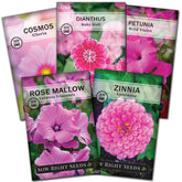 Sow Right Seeds Baby Doll Dianthus; pink blooms for borders and pollinator-friendly beds.