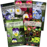 Sow Right Seeds blue columbine packet shows vivid blue blooms for shaded borders.