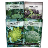 Sow Right Seeds broccoli di ciccio packet for home garden planting and flavorful harvest.