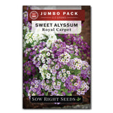 Sow Right Seeds bulk alyssum seed pack for quick border coverage and color.