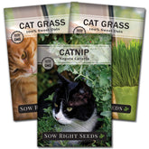 Sow Right Seeds catnip leaf close-up—premium herb for playful, curious cats.