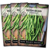 Sow Right Seeds Contender bush bean seed packet ready for a fast, productive garden start.