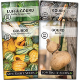 Sow Right Seeds decorative gourds image for vibrant autumn decor and craft-ready projects