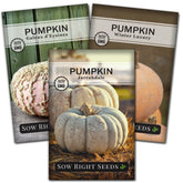 Sow Right Seeds decorative pumpkin seed collection pack for vibrant autumn decor.