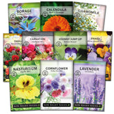 Sow Right Seeds edible nasturtium pack – vibrant blooms brighten salads and plates.