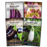 Sow Right Seeds Black Beauty eggplant seeds for home gardening.