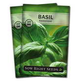 Sow Right Seeds Genovese basil seed packet for kitchen herbs.