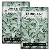 Sow Right Seeds Lambs Ear seeds packet showing drought-tolerant ground cover potential.