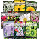 Sow Right Seeds Coleus Rainbow Mix—vibrant foliage for colorful borders.