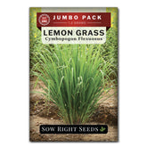 Sow Right Seeds Lemon Grass bulk pack seeds for versatile indoor and outdoor growing.