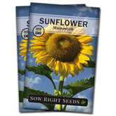 Sow Right Seeds Mammoth Sunflower seed packet for easy planting and heirloom seeds