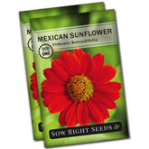 Sow Right Seeds Mexican Sunflower seed packet ready to plant and grow.