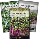 Sow Right Seeds broccoli microgreens mix ready to elevate salads.