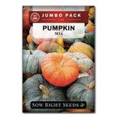 Sow Right Seeds mixed pumpkins bulk packet for planting and colorful harvest.