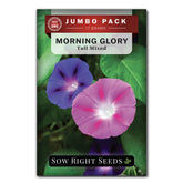 Sow Right Seeds morning glory bulk packet: vibrant colors for trellis and pollinator gardens.