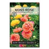 Sow Right Seeds Moss Rose Portulaca Grandiflora mix bloom close-up, vibrant colors for sunny gardens
