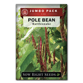 Sow Right Seeds rattlesnake pole bean seeds ready for bulk planting in a home garden