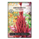 Sow Right Seeds red garnet amaranth seed pack for home gardening.