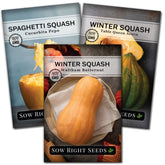 Sow Right Seeds spaghetti squash fruit close-up for roasting and stuffing possibilities