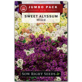 Sow Right Seeds Sweet Alyssum Mix seeds for bulk planting in borders.